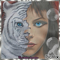HD femme tigre effet pierre - Gratis geanimeerde GIF