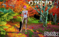 OTOÑOX - Бесплатный анимированный гифка