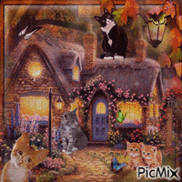 La maison des petits chats heureux - Free animated GIF