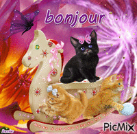chat bonjour GIF animata