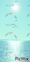 mavi deniz - Ilmainen animoitu GIF