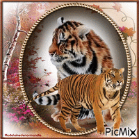 les tigres анимиран GIF