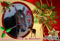La championne Billie de Montfort. Animated GIF