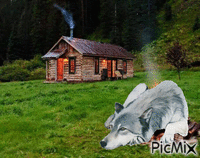 vlk - Bezmaksas animēts GIF
