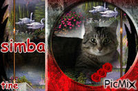 mon bb SIMBA - GIF animé gratuit