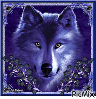 Blue wolf. анимирани ГИФ