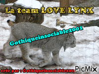 Team Lynx - GIF animé gratuit