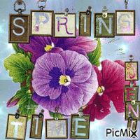 Spring time Animated GIF