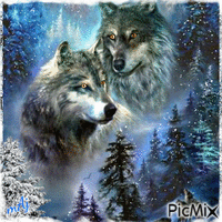 Concours "J'aime les loups" - Gratis geanimeerde GIF