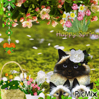 Happy spring - Free animated GIF