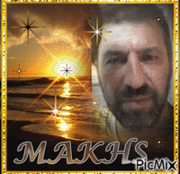 makis - Free animated GIF