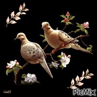 oiseaux sur branche animovaný GIF
