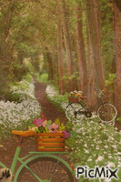 Recogiendo flores Animated GIF