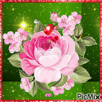 Rózsa színű rózsa. - GIF animado gratis