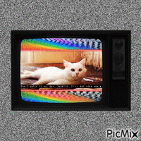 Rotting brain - Darmowy animowany GIF