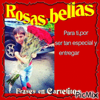 rosas bellas - Δωρεάν κινούμενο GIF