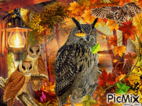 AUTUMN OWLS Animated GIF