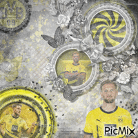 Niclas Füllkrug | Borussia Dortmund geanimeerde GIF