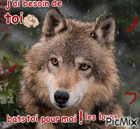 les loups - Zdarma animovaný GIF