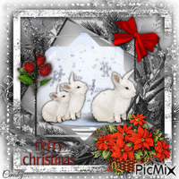 Animal de Noël - Rouge, noir et blanc - Gratis geanimeerde GIF