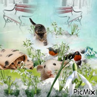 The first snowdrops - PNG gratuit