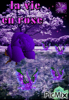 La Vie En Rose - Bezmaksas animēts GIF