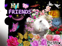 friends - Бесплатный анимированный гифка