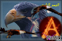 Eagle of the Fire - GIF animate gratis