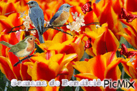 SEMANA DE BENDICION - Безплатен анимиран GIF