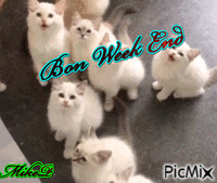 bon week end - Darmowy animowany GIF