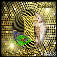 Golden Handed Tamarin анимированный гифка