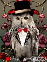 Fantasy owl GIF animado