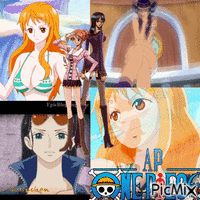Nico Robin and Nami - Gratis animerad GIF