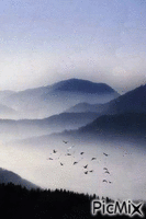 fog - Free animated GIF