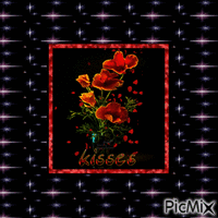 Kisses - Бесплатный анимированный гифка