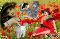 Gentil coquelicot Mesdames, gentil coque... Animated GIF