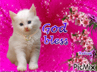 God bless - 免费动画 GIF