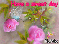 Have a sweet day - Animovaný GIF zadarmo