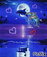 I love you dauphins ! - Безплатен анимиран GIF