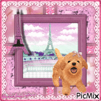 {{Poodle}} 动画 GIF
