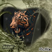 Tigre 3d - Ilmainen animoitu GIF