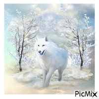 Winter Wolf jpg - Free animated GIF