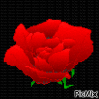 fleur d'amour - Δωρεάν κινούμενο GIF