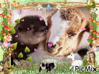 adorable chèvres Loutre et Chevreaux анимиран GIF