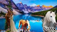cavalos - GIF animado grátis