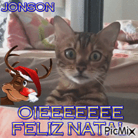 JONSON animovaný GIF