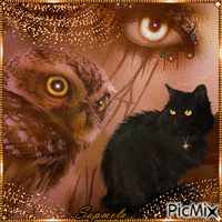 Coruja e gato preto - Gratis geanimeerde GIF