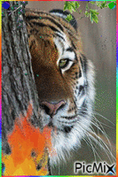 La estrategia del ojo del tigre!! 动画 GIF