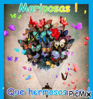 Mariposas. animovaný GIF