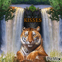 KISSES - GIF animasi gratis